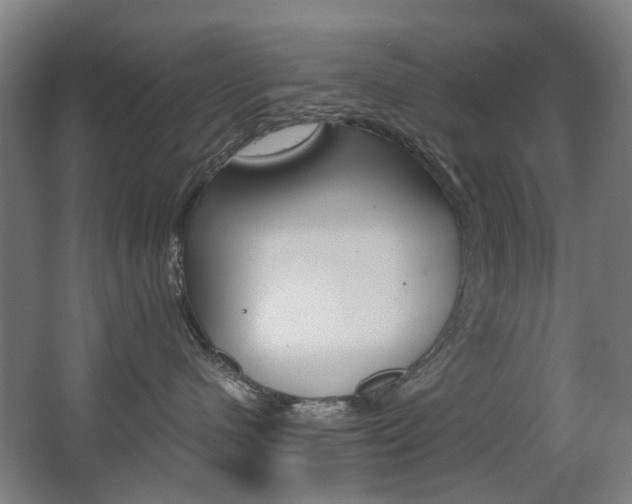X0000063440480200601200933