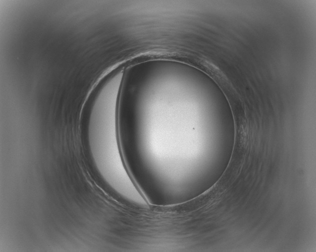 X0000063440484200601200932