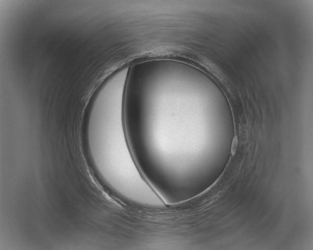 X0000063440485200601200932