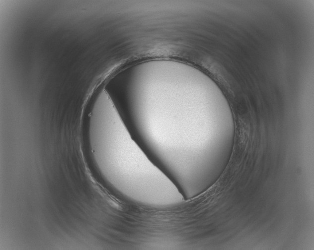 X0000063440486200601200932