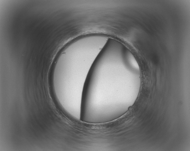 X0000063440487200601200932