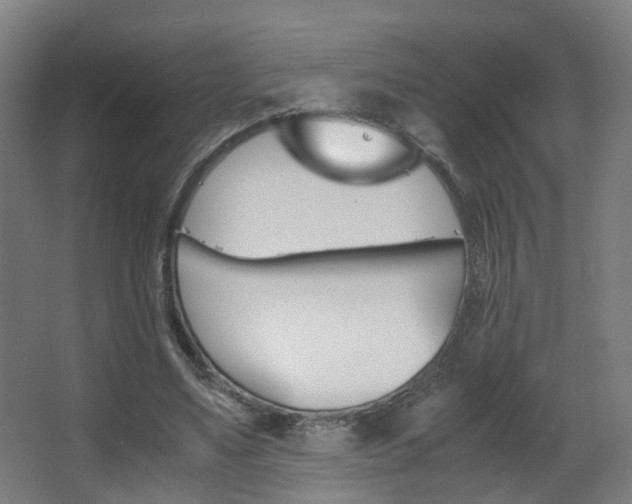 X0000063440491200601200932