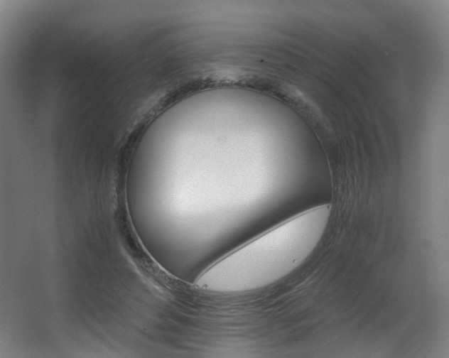 X0000063440496200601200932