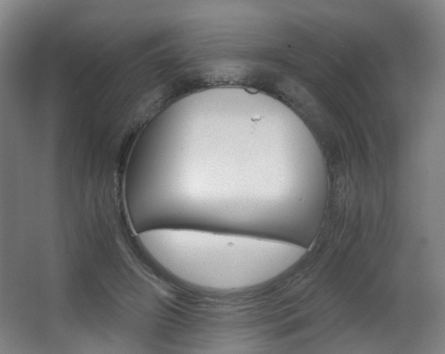 X0000063440498200601200932