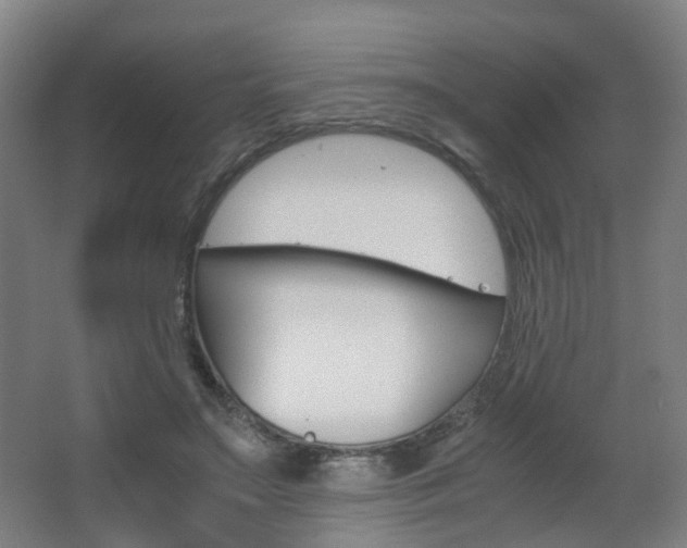 X0000063440499200601200932