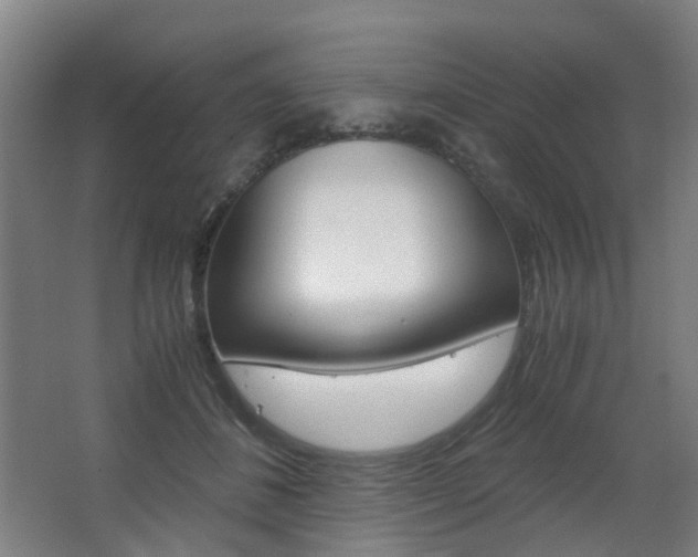 X0000063440508200601200932