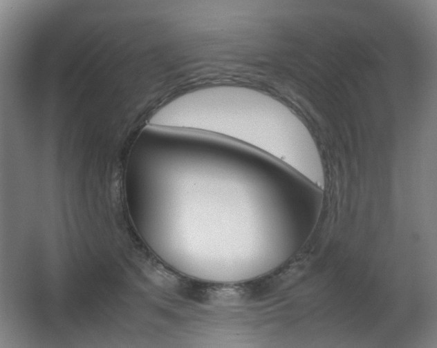 X0000063440513200601200932