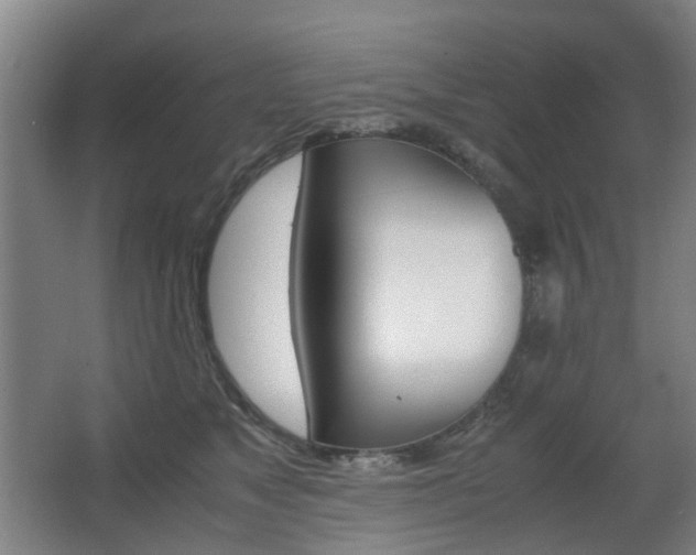 X0000063440517200601200932