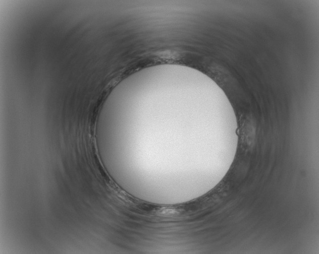X0000063440518200601200932