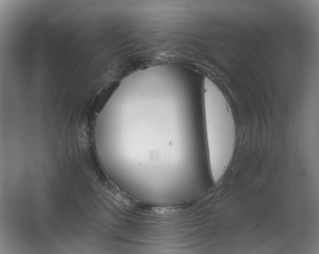 X0000063440520200601200932