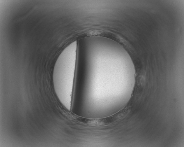 X0000063440521200601200932