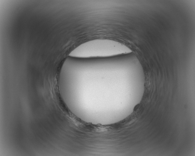 X0000063440523200601200932