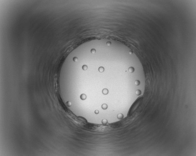 X0000063440527200601200932