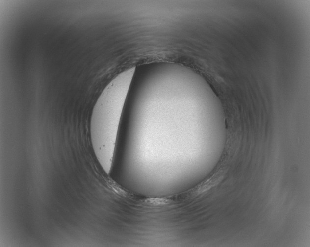 X0000063440528200601200932