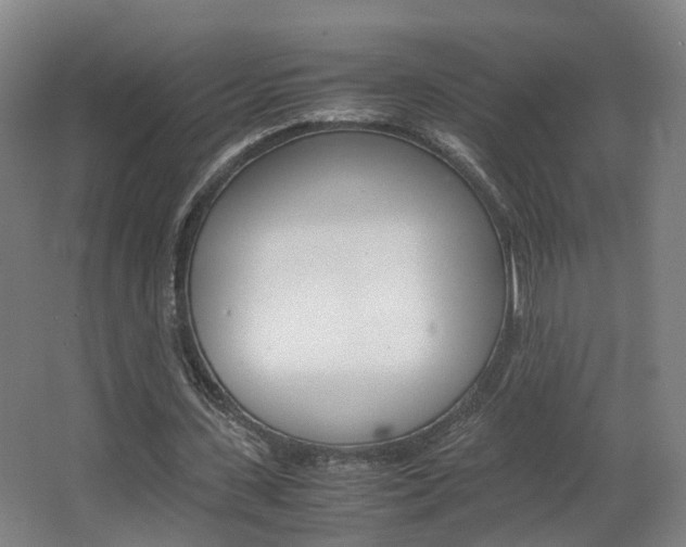 X0000063440531200601200931