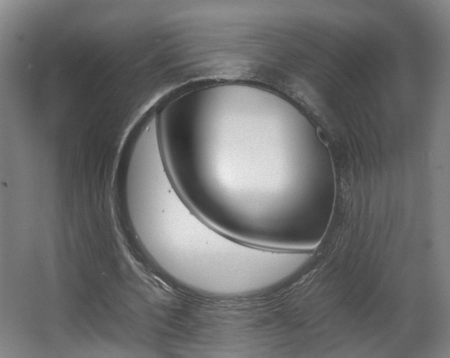 X0000063440532200601200931