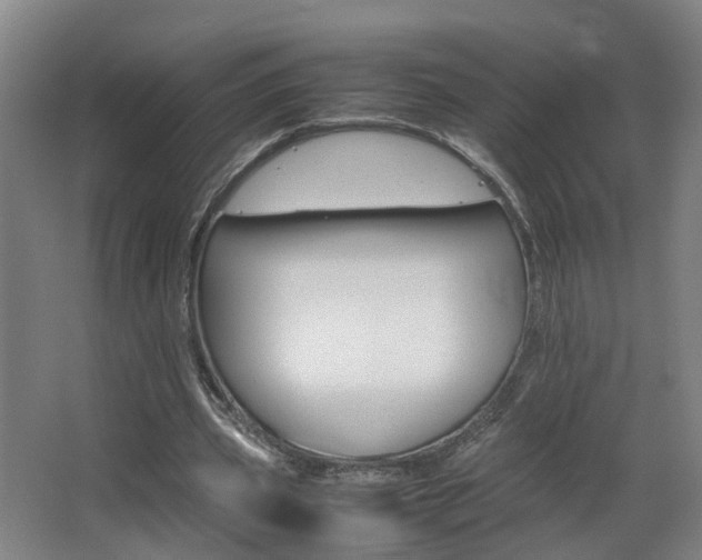 X0000063440533200601200931