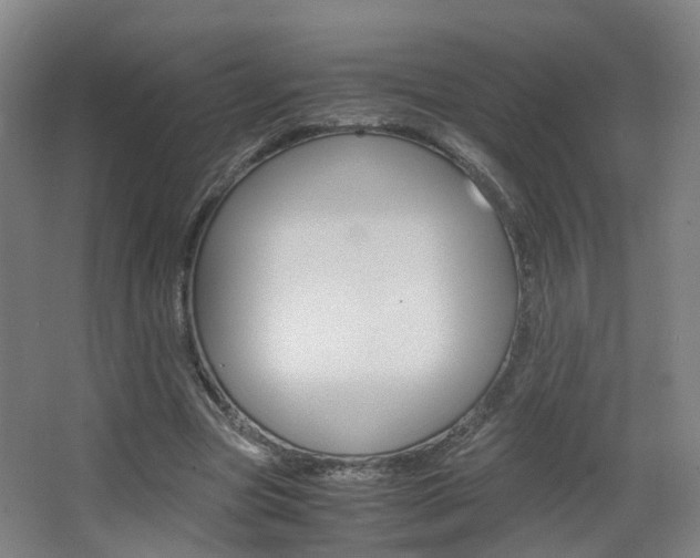 X0000063440537200601200931