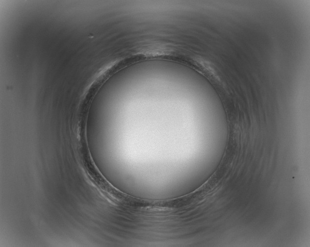 X0000063440539200601200931