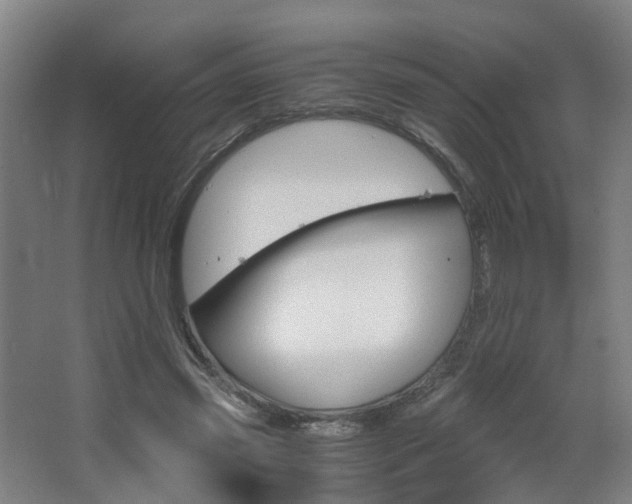 X0000063440541200601200931