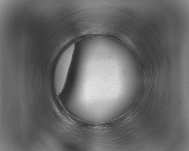 X0000063440542200601200931