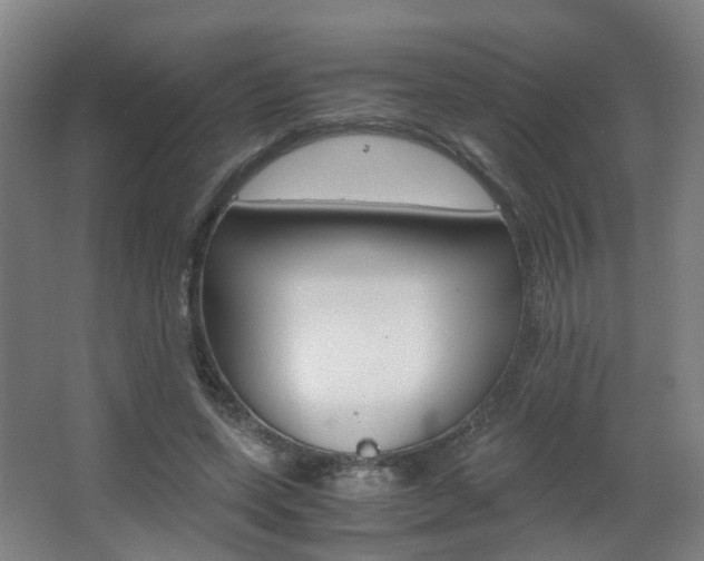 X0000063440543200601200931