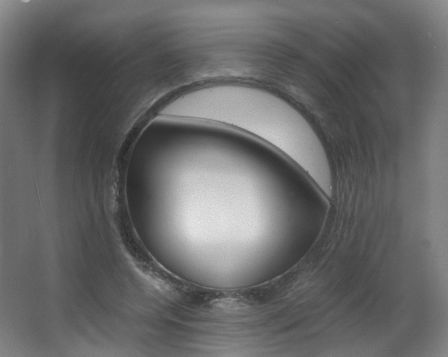 X0000063440544200601200931