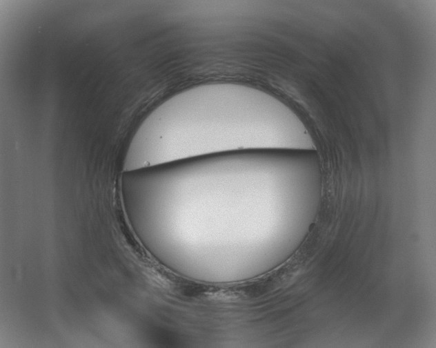 X0000063440545200601200931