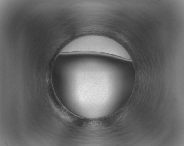 X0000063440546200601200931