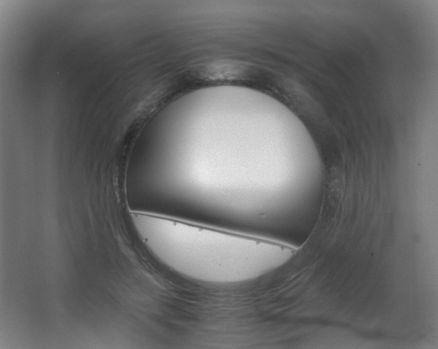 X0000063440547200601200931