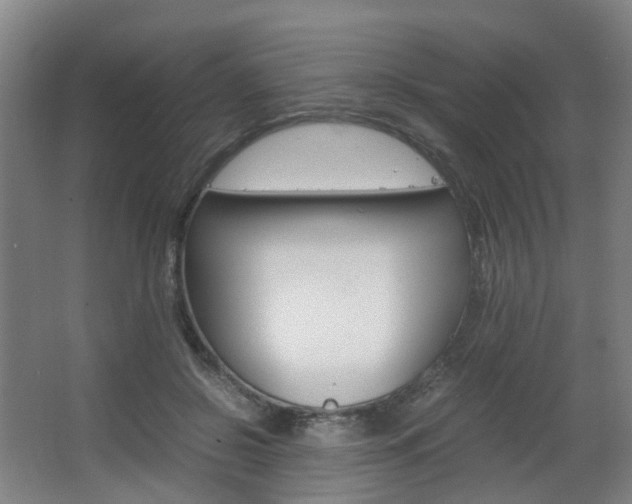 X0000063440550200601200931
