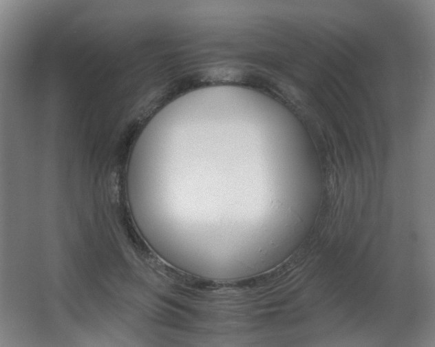 X0000063440551200601200931