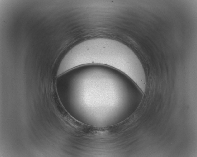 X0000063440552200601200931