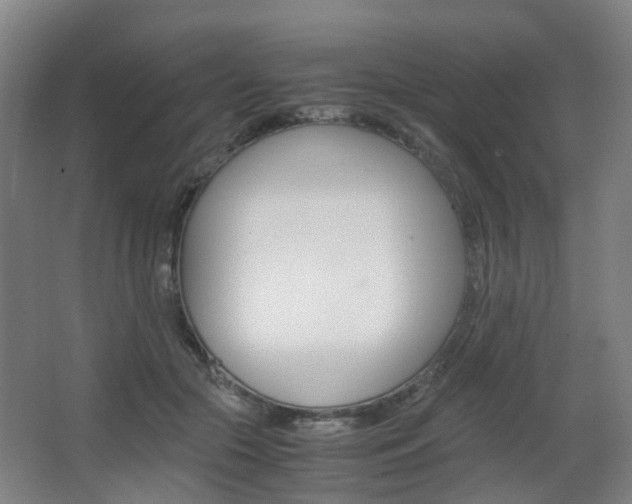 X0000063440553200601200931