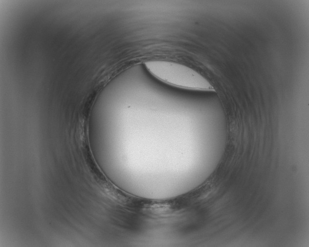 X0000063440554200601200931