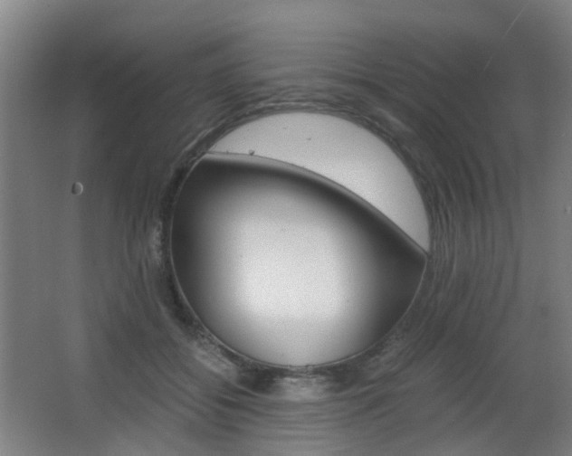 X0000063440556200601200931