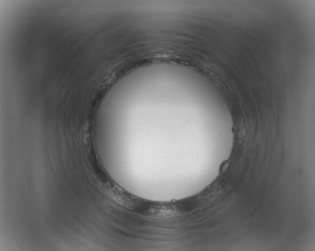 X0000063440559200601200931
