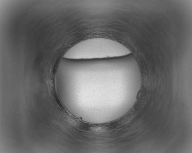 X0000063440561200601200931