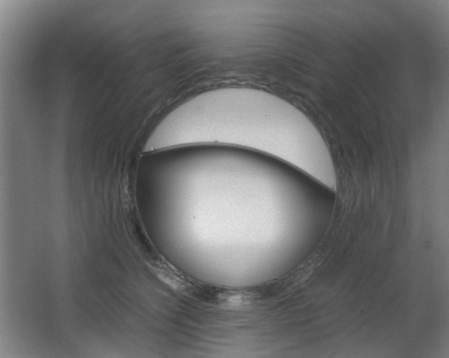 X0000063440564200601200931
