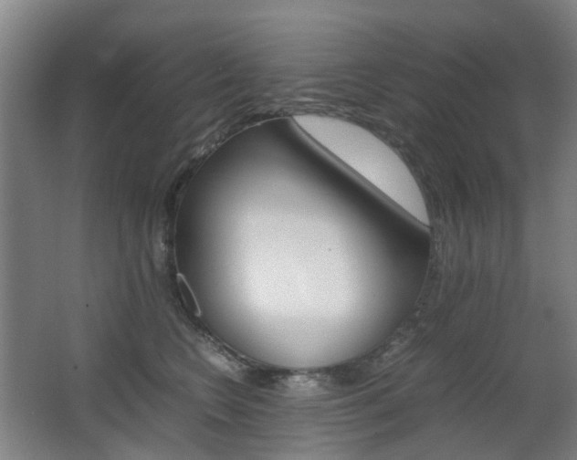X0000063440566200601200931