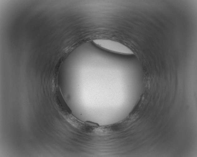 X0000063440568200601200931