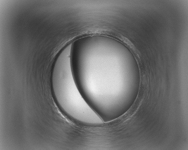 X0000063440577200601200931