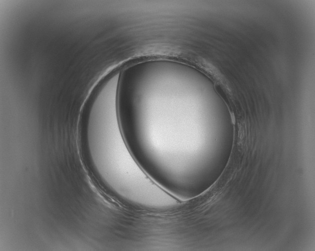 X0000063440580200601200931
