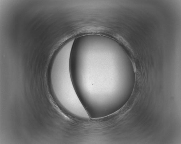 X0000063440581200601200931