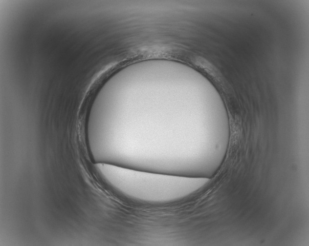 X0000063440583200601200931