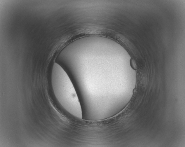 X0000063440586200601200931
