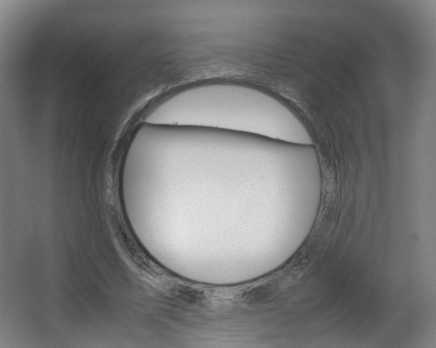 X0000063440587200601200931