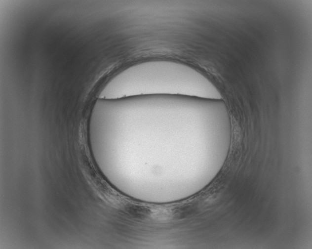 X0000063440591200601200931