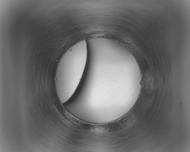 X0000063440598200601200930