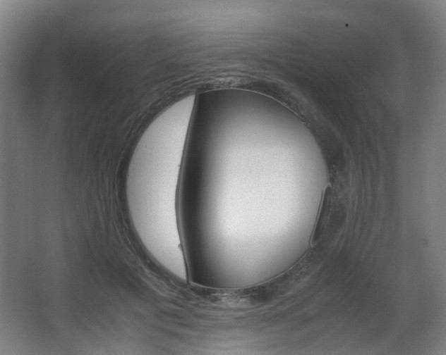 X0000063440601200601200930